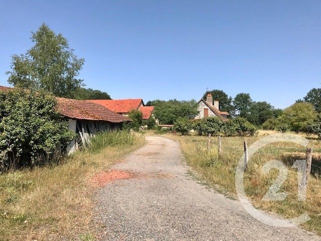 maison - SANCOINS - 18