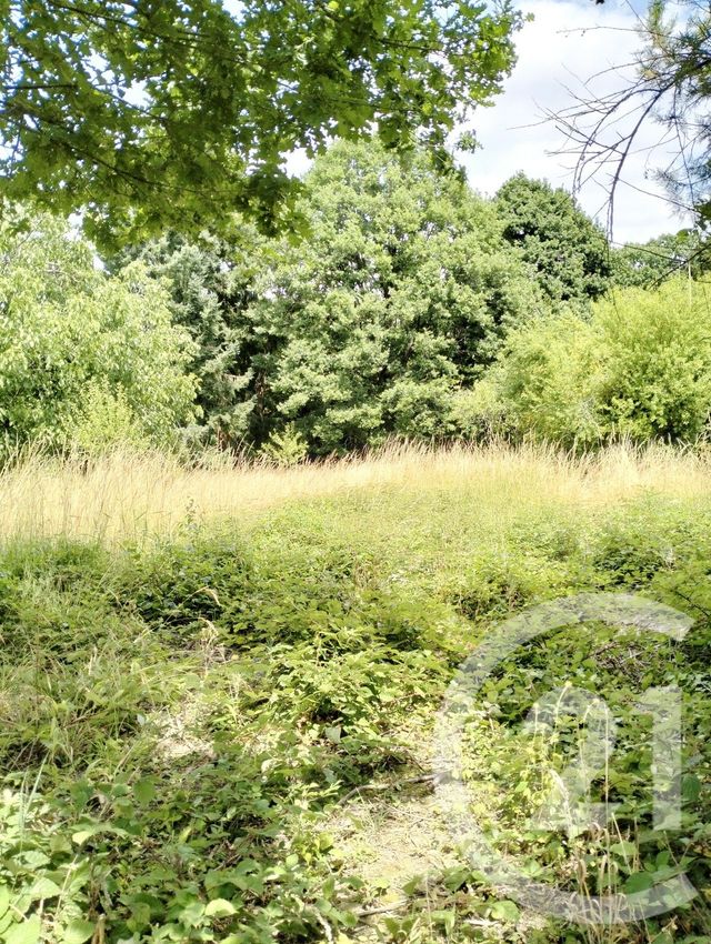 Maison à vendre - 2 pièces - 40,04 m2 - La Machine - 58 - BOURGOGNE