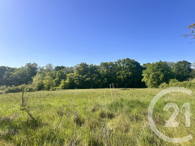 Maison &agrave; vendre - 7 pi&egrave;ces - 180 m2 - Cuffy - 18 - CENTRE