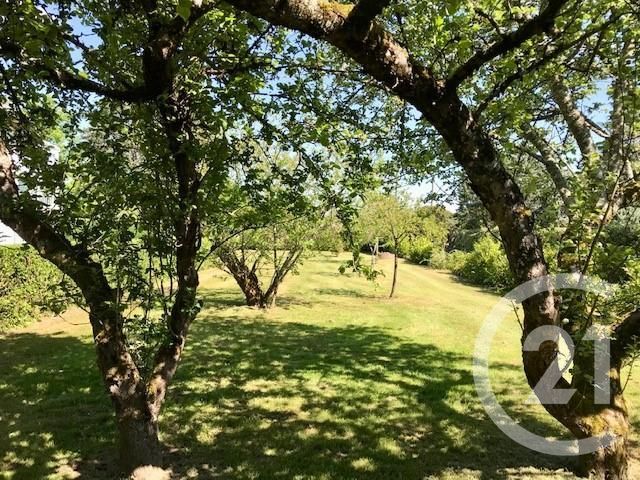 Afficher la photo en grand Maison à vendre - 3 pièces - 77,85 m2 - Mornay Sur Allier - 18 - CENTRE