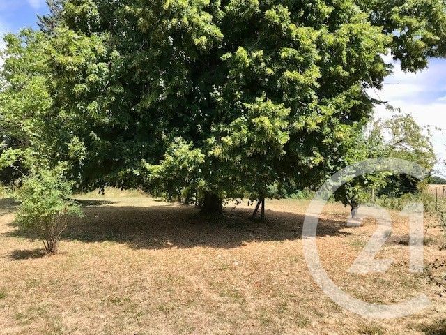 Maison à vendre - 2 pièces - 63,75 m2 - Blet - 18 - CENTRE