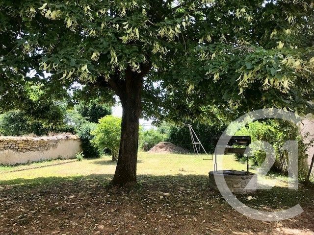Maison &agrave; vendre - 11 pi&egrave;ces - 233,23 m2 - Blet - 18 - CENTRE
