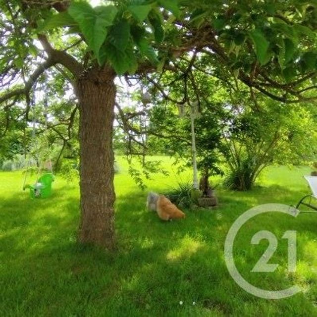Maison &agrave; vendre - 6 pi&egrave;ces - 150 m2 - Saligny Le Vif - 18 - CENTRE