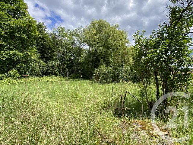 Maison &agrave; vendre - 8 pi&egrave;ces - 176 m2 - La Guerche Sur L Aubois - 18 - CENTRE
