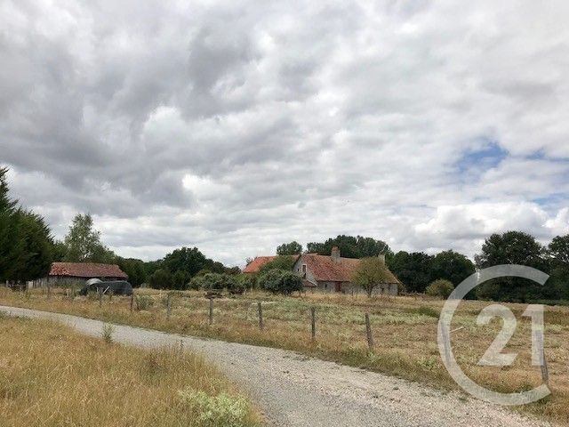 maison - SANCOINS - 18