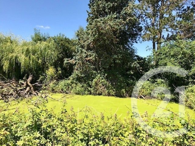 Afficher la photo en grand Maison à vendre - 3 pièces - 146,55 m2 - Ignol - 18 - CENTRE