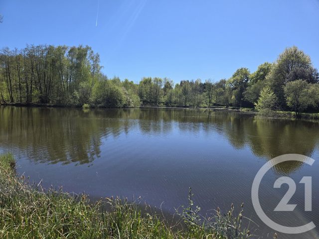 Maison &agrave; vendre - 7 pi&egrave;ces - 146,18 m2 - La Guerche Sur L Aubois - 18 - CENTRE