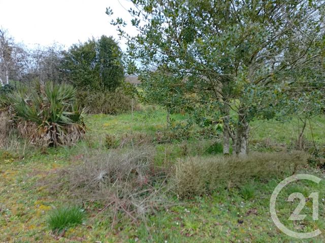 Maison &agrave; vendre - 5 pi&egrave;ces - 125,51 m2 - Franchesse - 03 - AUVERGNE