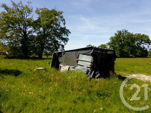 Maison &agrave; vendre - 3 pi&egrave;ces - 51,18 m2 - St Leopardin D Augy - 03 - AUVERGNE