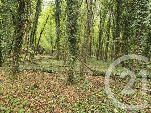 Maison &agrave; vendre - 6 pi&egrave;ces - 174,47 m2 - La Guerche Sur L Aubois - 18 - CENTRE