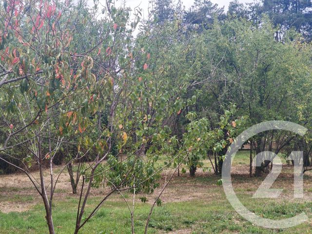 Maison &agrave; vendre - 3 pi&egrave;ces - 77 m2 - Lurcy Levis - 03 - AUVERGNE